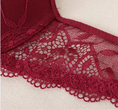 Low Price Women Fashion 2 Piece Solid sexy Transparent Lace Underwire bras Push Up Underwear Panty Bra Brief Set