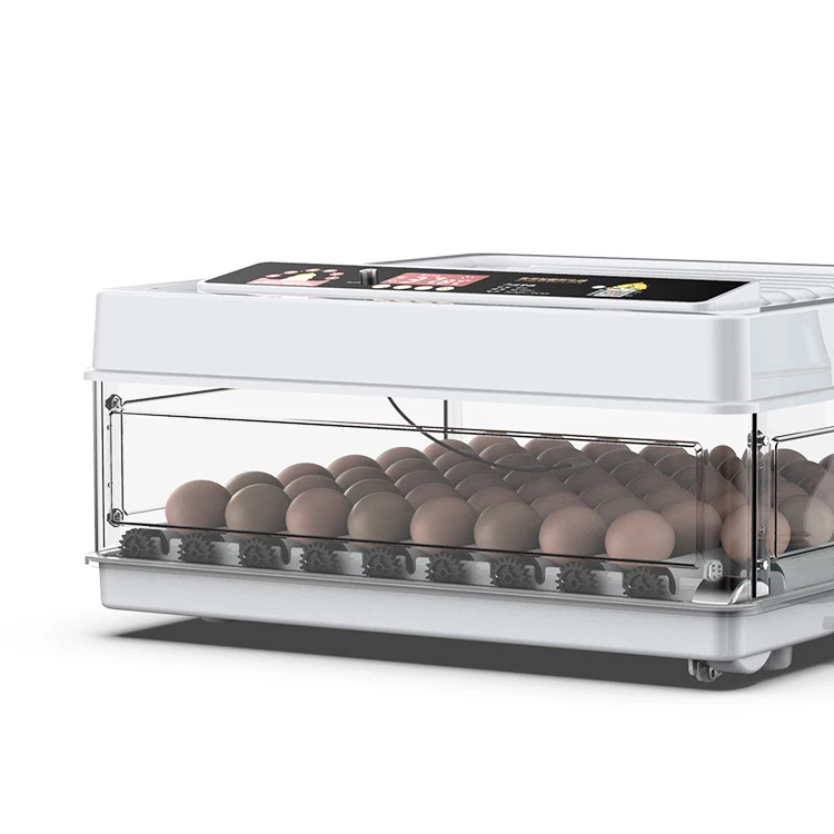 Household Use Dual Power Supply 30 Capacity Automatic Small Hatcher Eggs Incubators