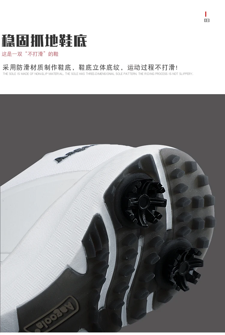 SCSG-02_11.jpg