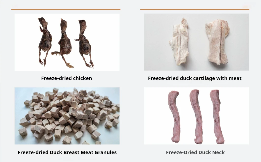 OEM/ODM Freeze Dried Egg Yolk Dog Snacks Containing Lecithin Beautiful Hair And Strong Body Mixed With Food For Cats And Dogs