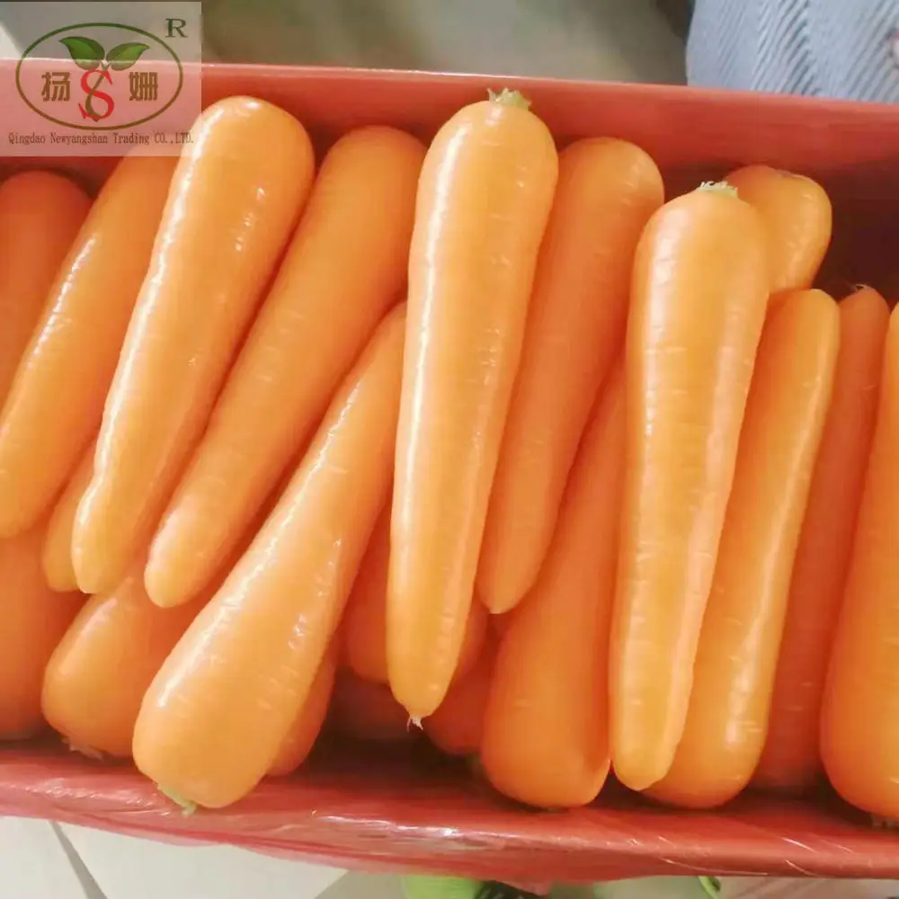 Alibaba Gold Supplier Information Carrot carton packing specializes in exporting to Thailand, Singapore, Malaysia, Philippines