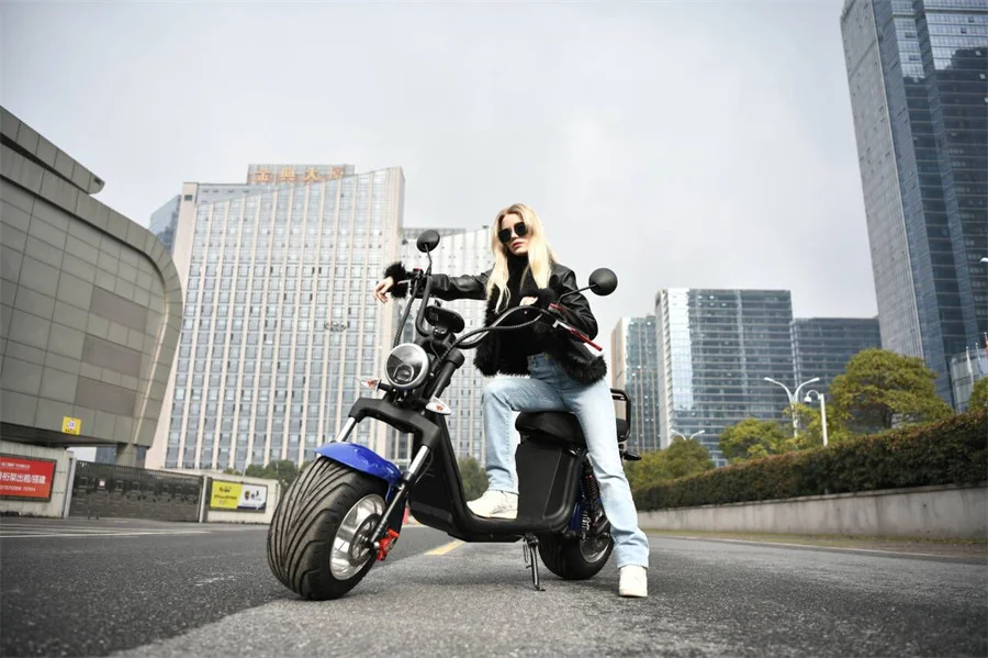 New Model Electric Scooter 3000w Eec Coc Citycoco 2000w 4000w Removable Battery E Chopper 80km/h