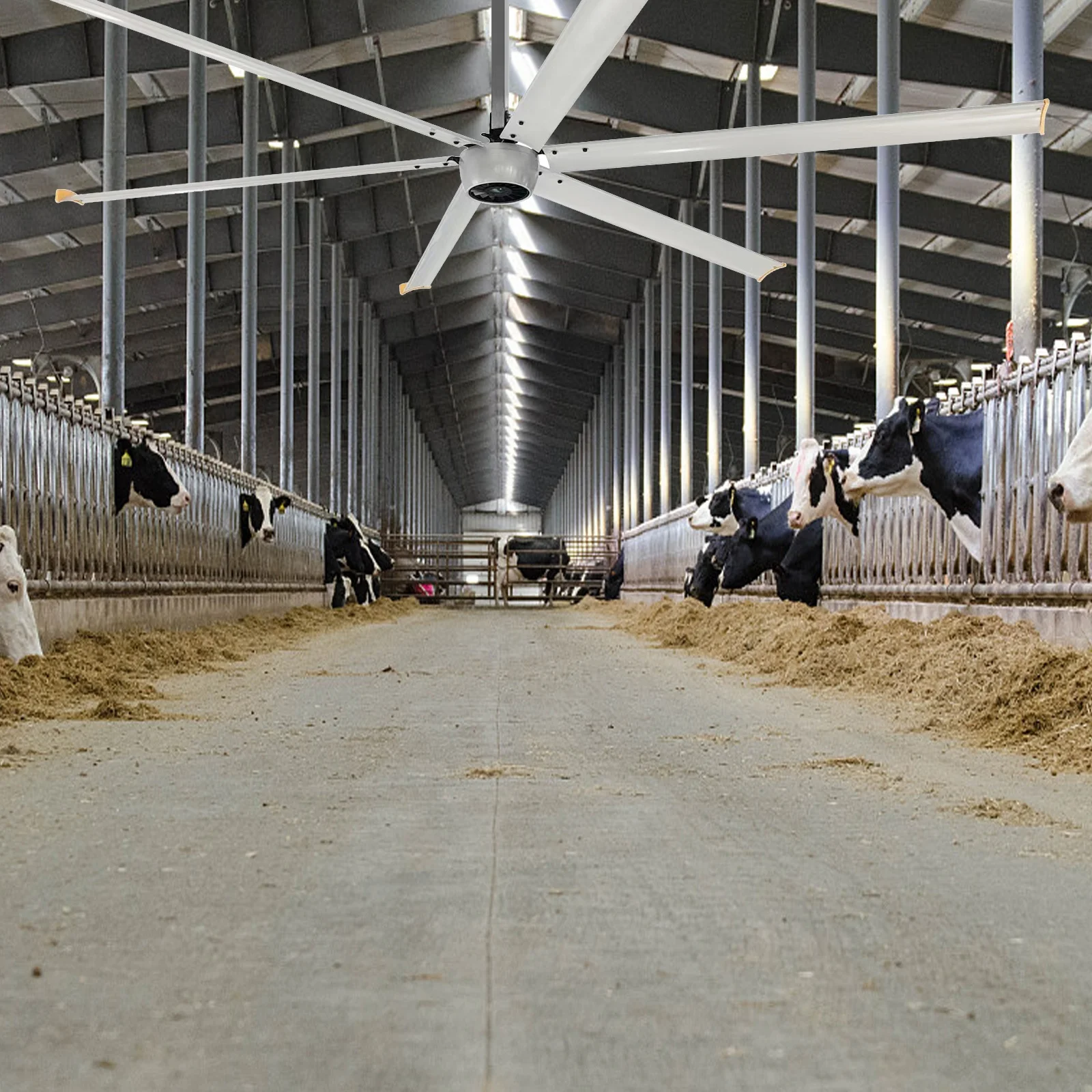 Производитель коров пастбища ферма 10 футов 12 1500 Вт вентиляторы воздушного охлаждения pmsm промышленный потолочный вентилятор с большой задницей AC hvls вентиляторный двигатель