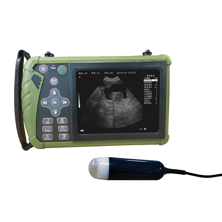 Самый дешевый 5-дюймовый инструмент для козьего скота портативный гидролокатор Ветеринарный ультразвуковой аппарат