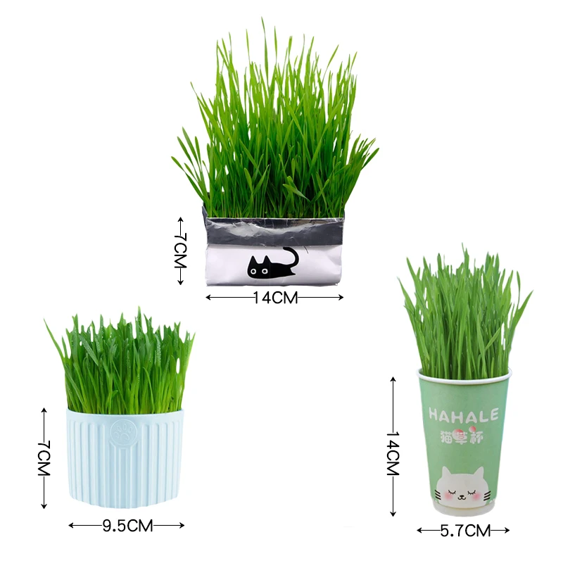 Cat Grass Seeds Grass Bag Cup Hot Sale High Quality Treats Bag Enriching Wheat Seed Pet Clean Teeth