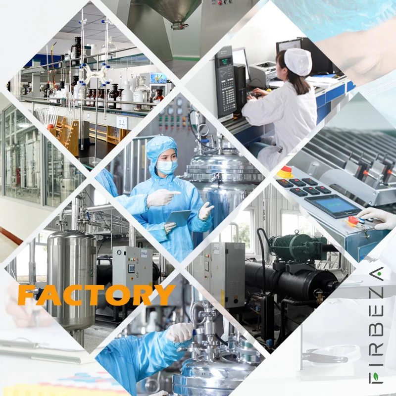 Wholesale Price 100% Natural Organic Bulk Grifola Polyporus Umbellatus Extract Powder