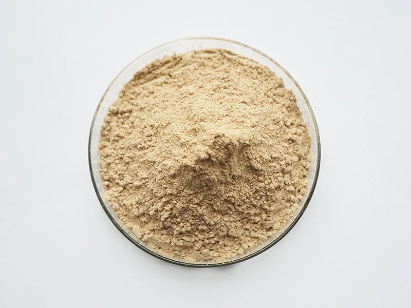 40% Soybean Extract Powder Isoflavone