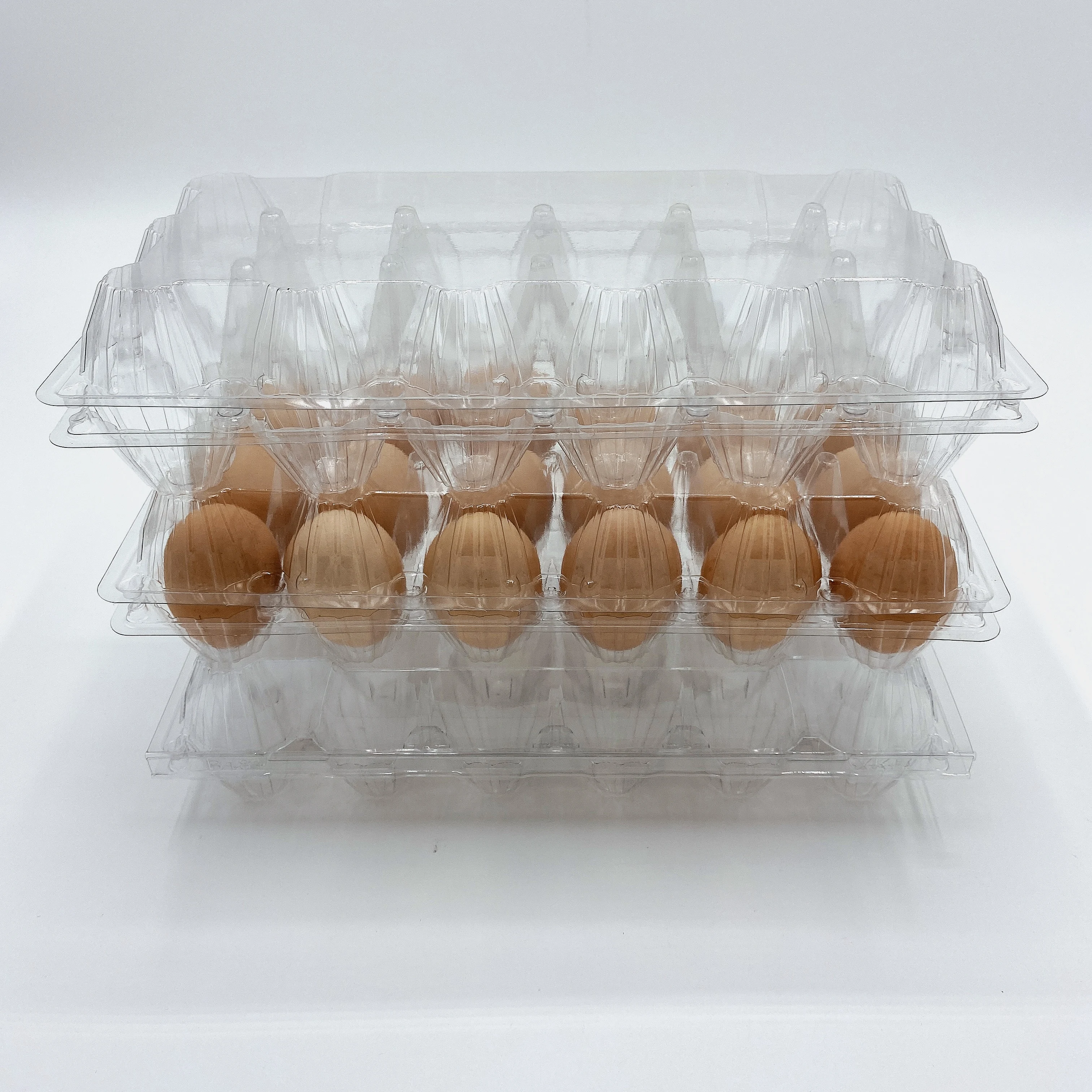
Safety Certificate 24 Cells Disposable Plastic Blister Quail Tray Eggs 