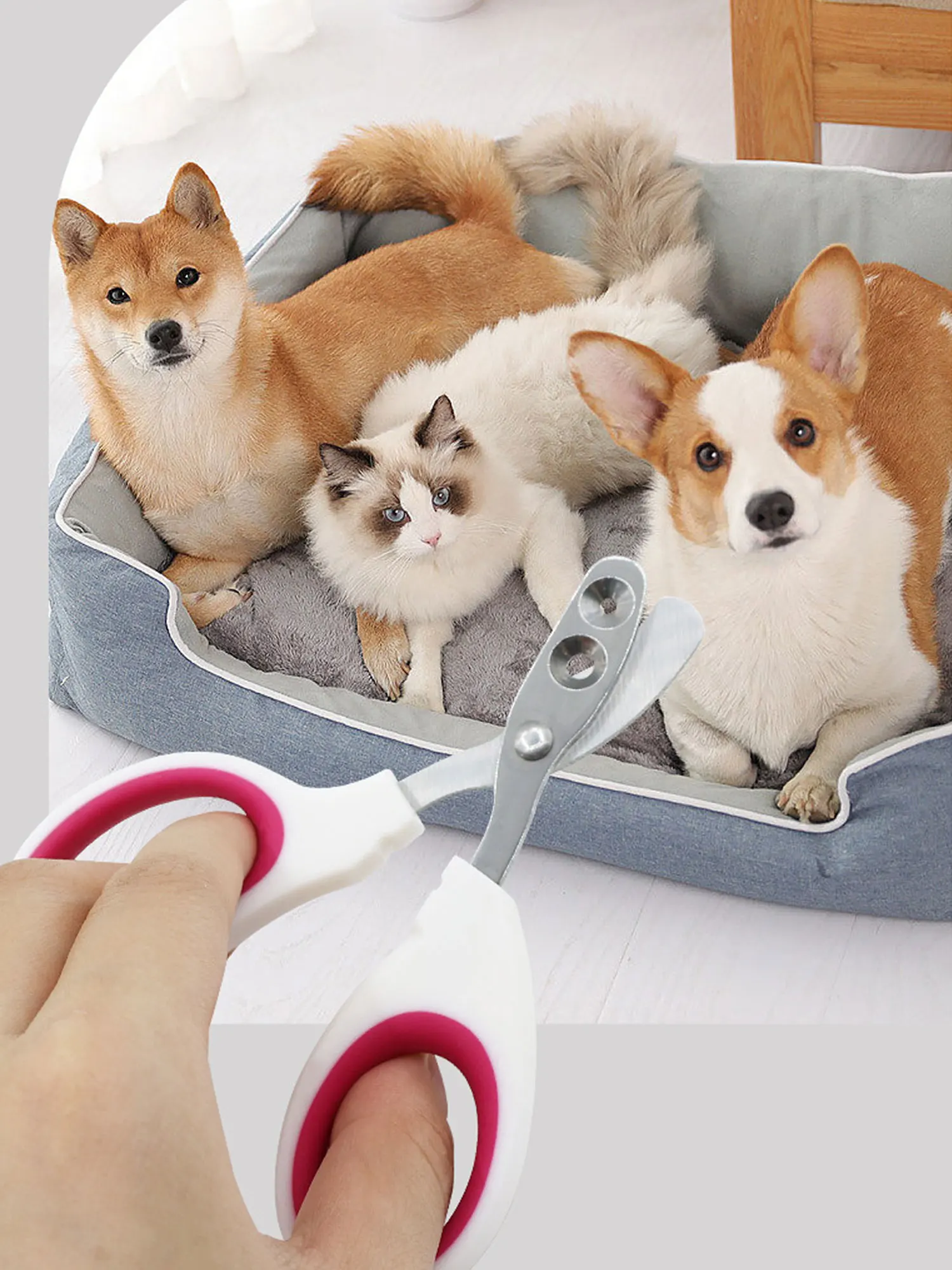 Professional Cat Nail Clippers for Small Cat Dog Stainless Steel Puppy Claws Cutter Pet Nail Grooming Clippers Trimmer