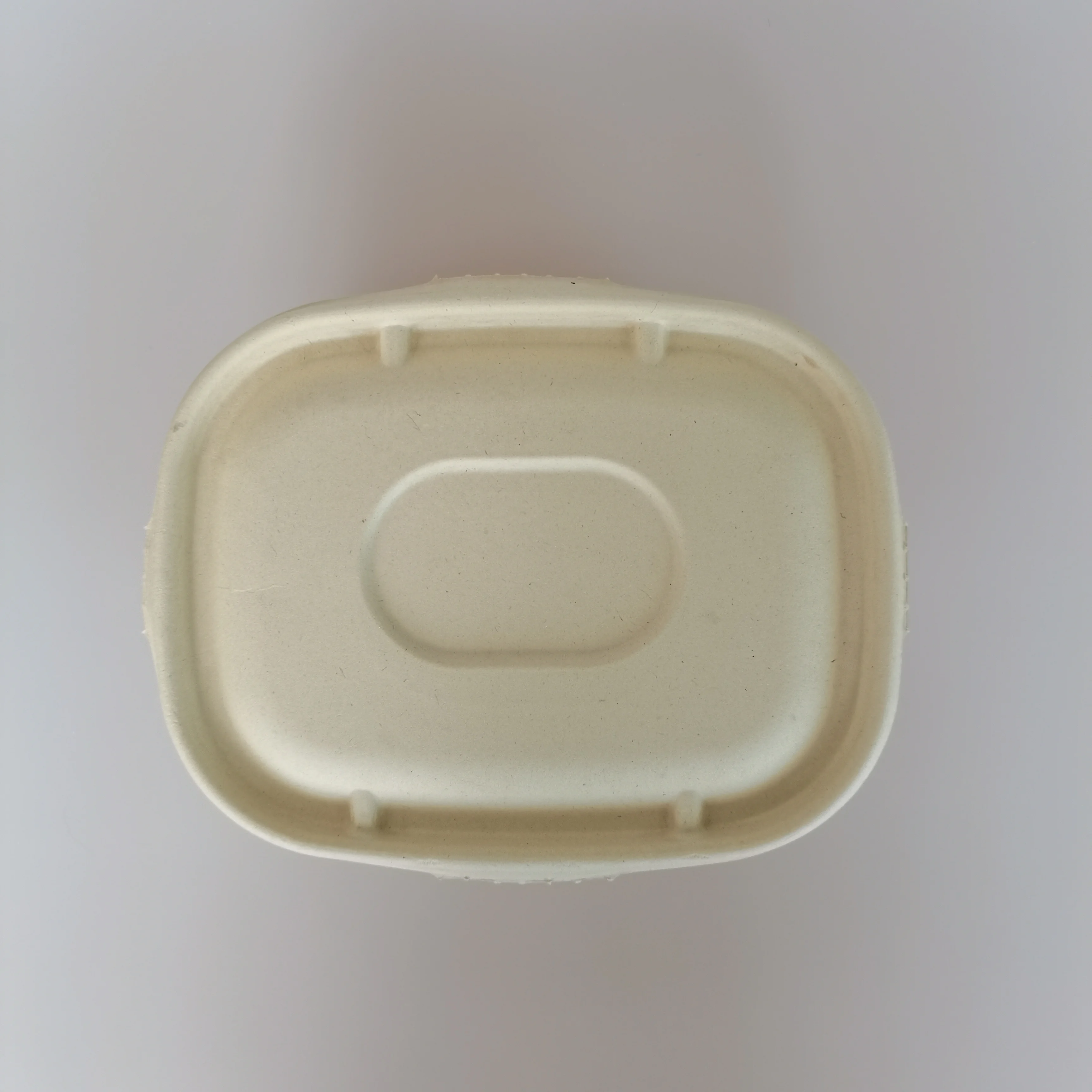 Recycle Sugarcane Bagasse Container With Lid Take Out Biodegradable Containers Biodegradable Container Food Take Out Box