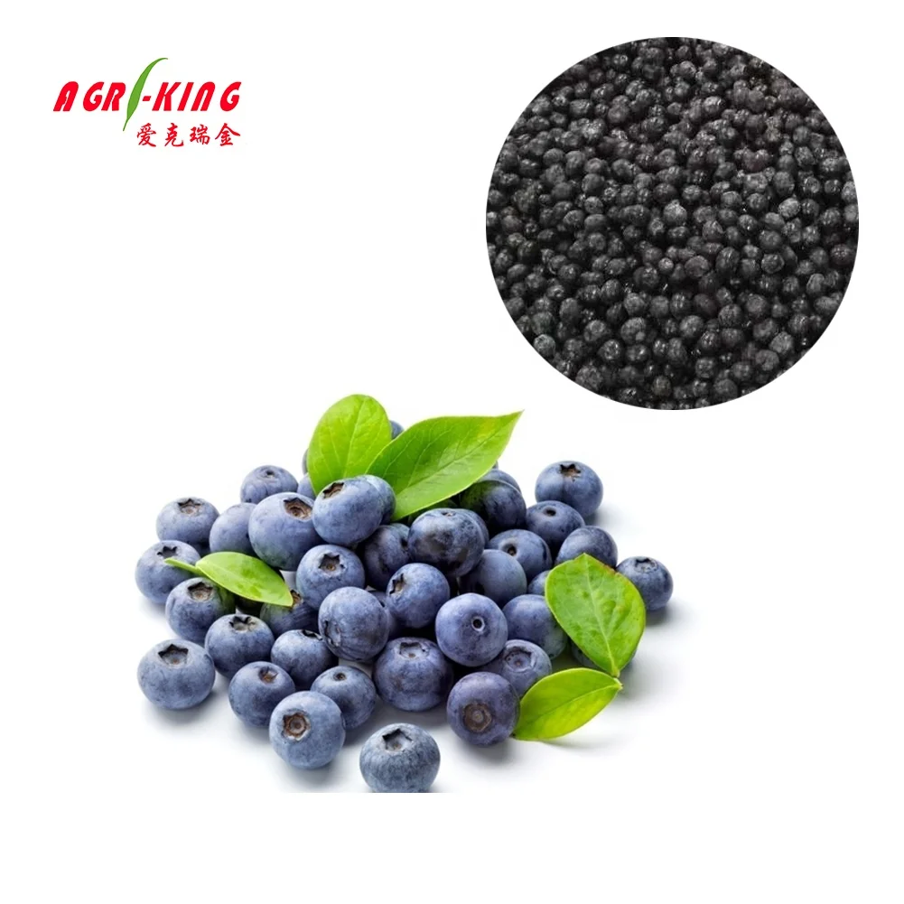 Bulk IQF Frozen Wild Blueberries