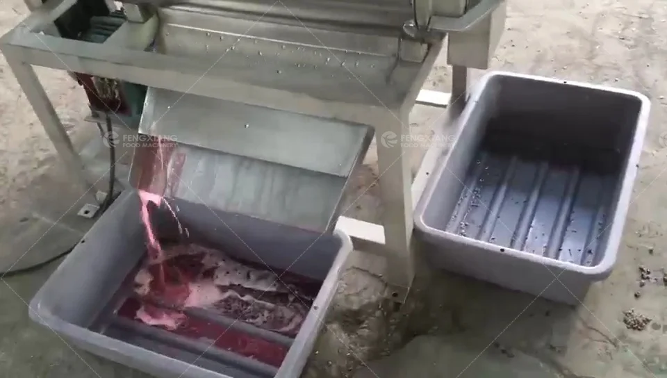 Commercial Pomegranate Fruit Juice Extractor Machine