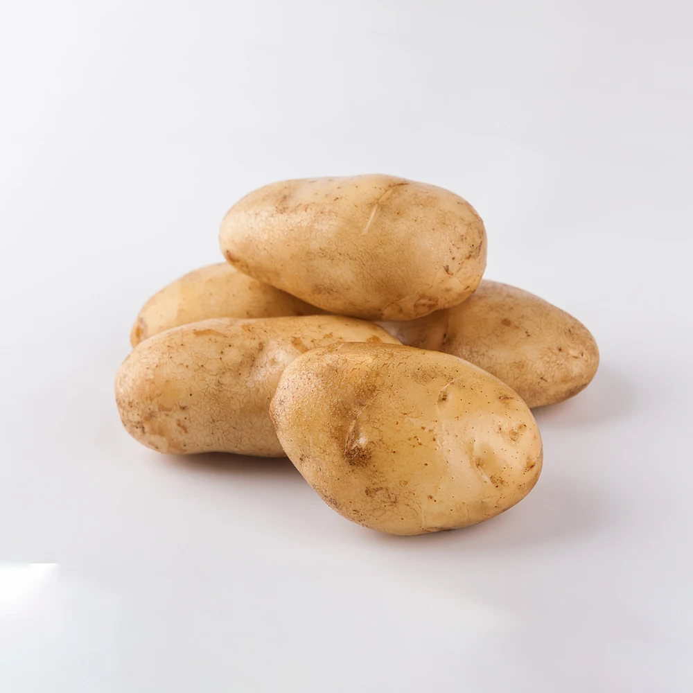 Свежий Овощной картофель Премиум-Качества Оптом по низкой
