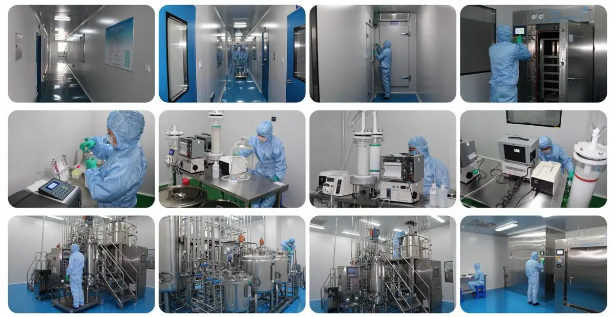 
MCC Avicel GMP food pharmaceuticals grade avicel ph 101 102 103 105 powder mcc microcrystalline cellulose powder CAS 9004-34-6 