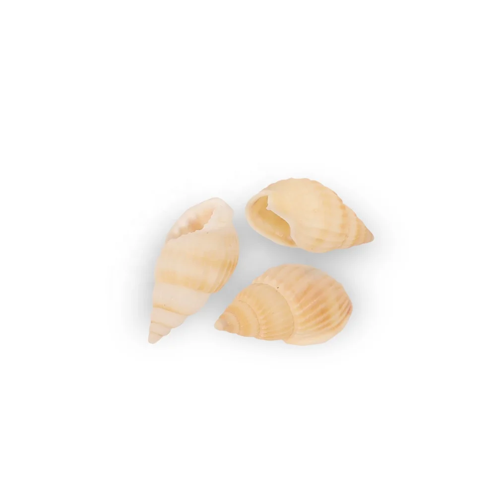 Hot Other Toys Math Material For Educational Puzzle Toys Wooden Bombs Fizzy With Dinosaur Gifts Sets For Children Indoor