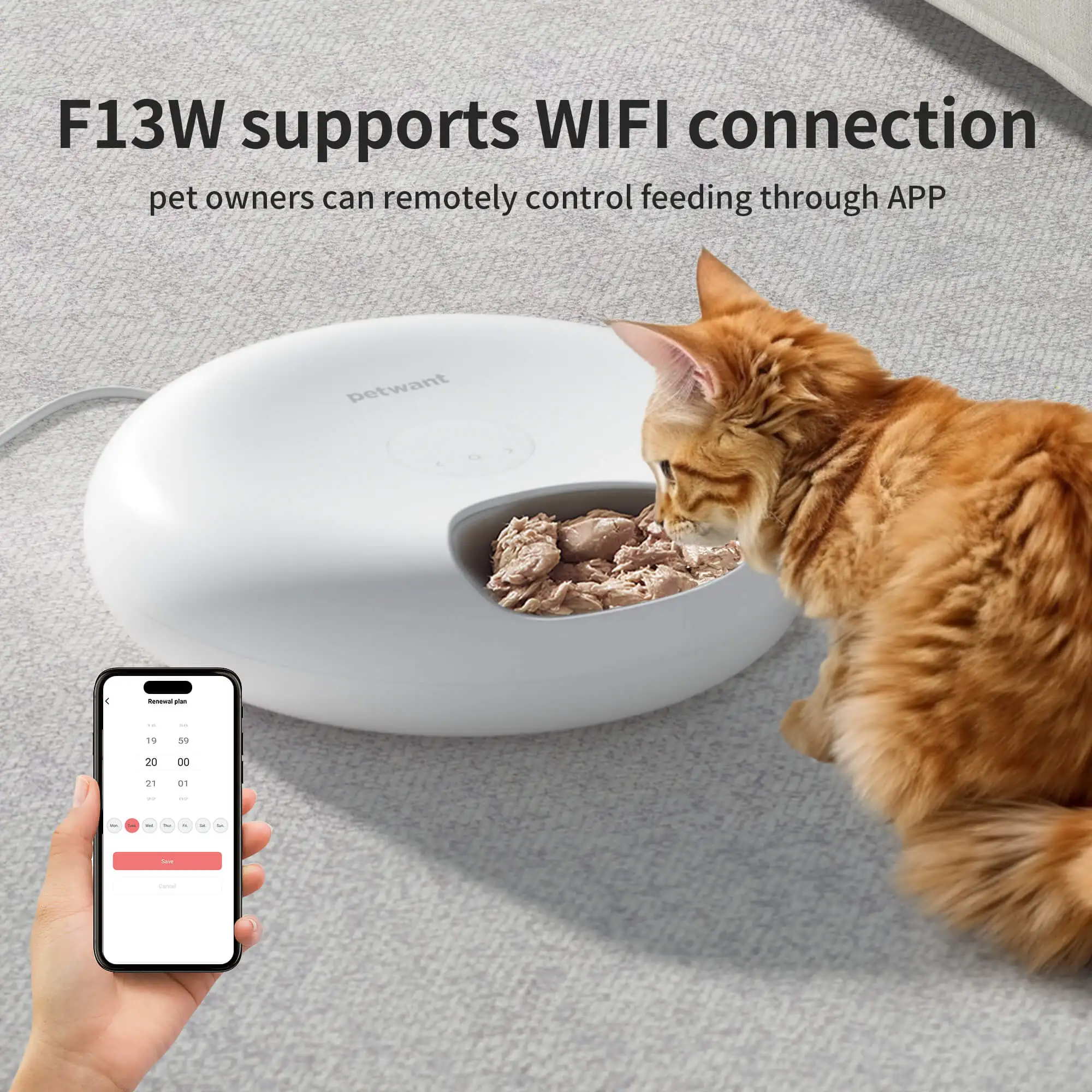 Пэтвант умный Wi-Fi 6 мисок для домашних животных дозатор корма автоматический еды со светодиодным экраном кошек мелких