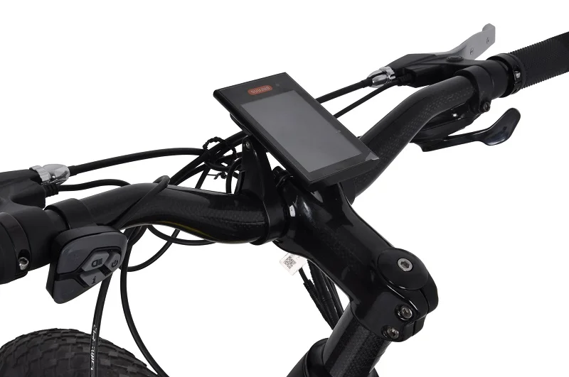 Dengfu E06 EMTB bafang m620/G510 frame 1000W 48V carbon frame ebike 1000w mountain bike