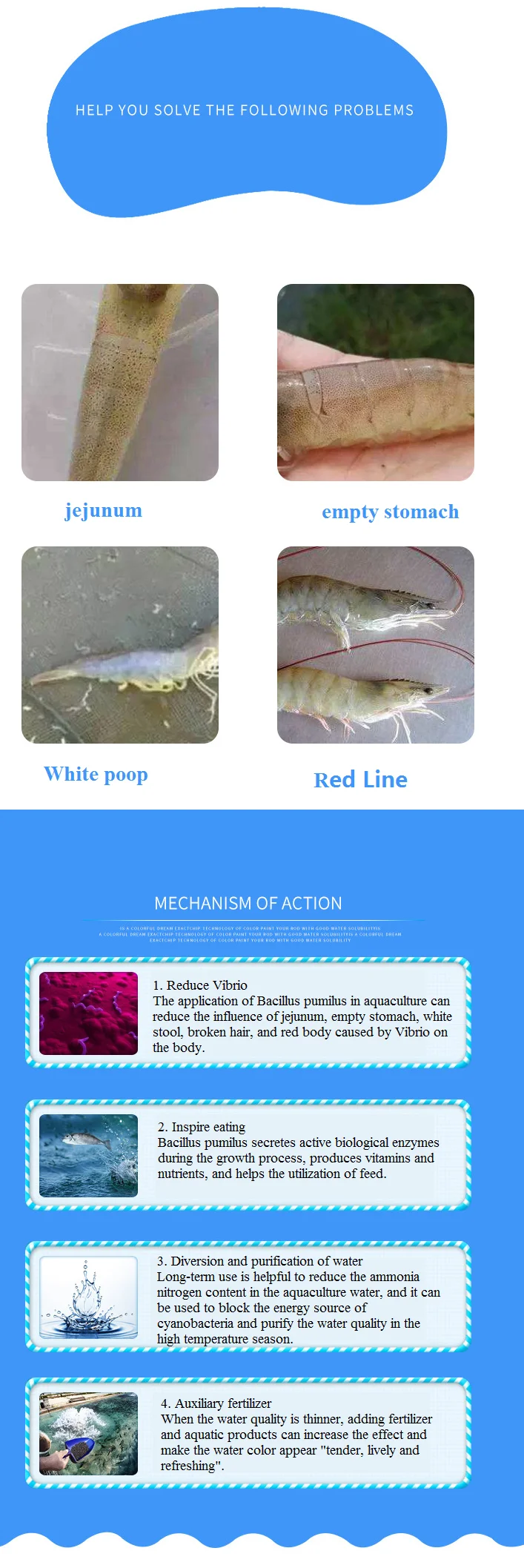 Aquaculture Fish Shrimp Environment Bacteria Crab Sewage Treatment Bacillus Pumilus 50 Billion