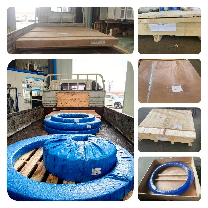 Light Load Flanged Bearing 90-20 0411/0-07012 None Gear Turntable Bearing for Tower Crane