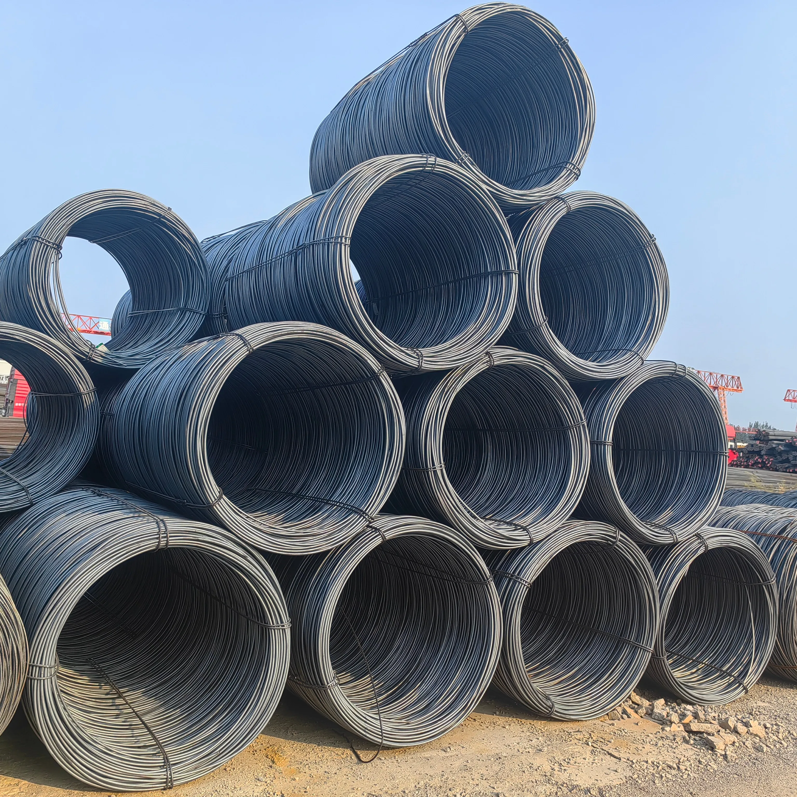 Hot Rolled Sae1006 1008 1010 Q195 Q235 1045 Alloy Mild Ms 5.5mm 6.5mm Carbon Steel Wire Rod