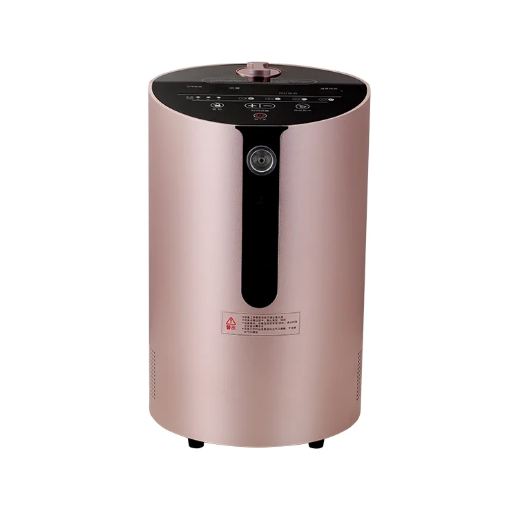 Factory 99.99% SPE Hydrogen Inhalation Machine Portable Hydrogen Generator for Home Oxygen Hydrogen Generator Inhalation