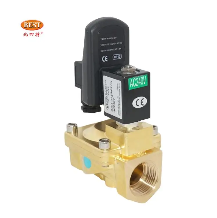 Valve Z101 Solenoid control timer valve