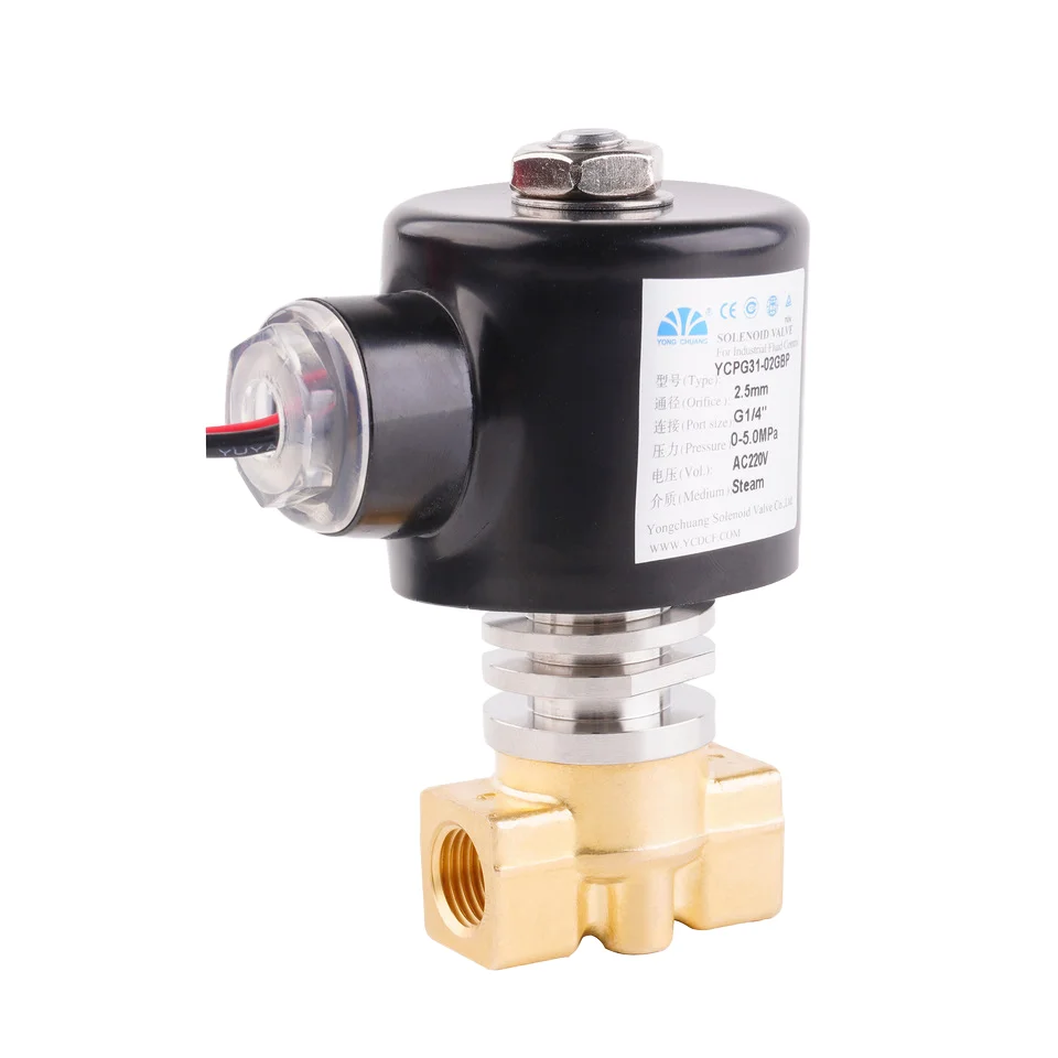 Tongchuang YCPG31 2 way high temperature brass stainless steel direct piston steam solenoid valve 220vac