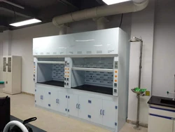 Factory direct selling laboratory PP Fume hood floor mounted exhaust cabinet acid and alkali resistant fume hood