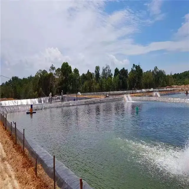 Geomembrane HDPE Sheet 1mm 1.2mm Geomembrane Biodigester for Biogas project