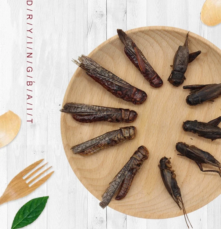 Pet Dry Food Original Ecology Dried Crickets for Tropical Fish