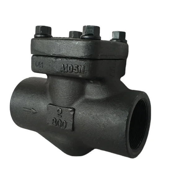 Socket Welded End Forged DN25 ASTM A105 SW Type Piston Forged CL800 Check Valve