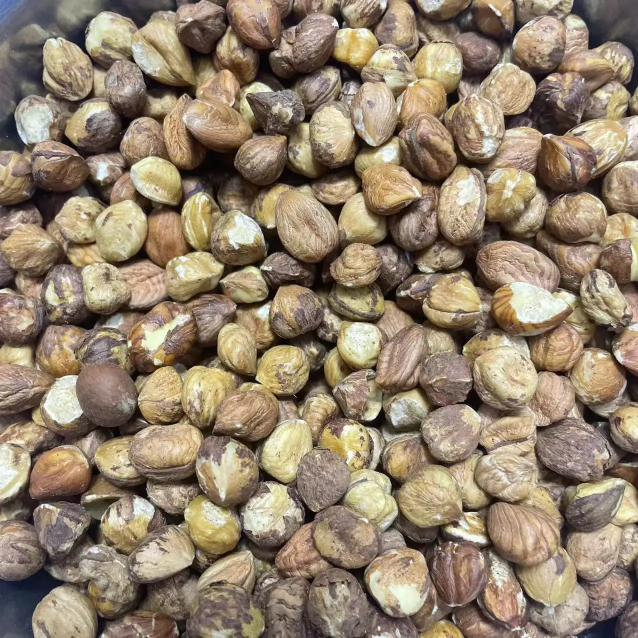 Raw hazelnut kernels