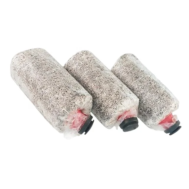 
Ready to fruit Oyster Mushroom growing kits Frozen IQF growing bag 