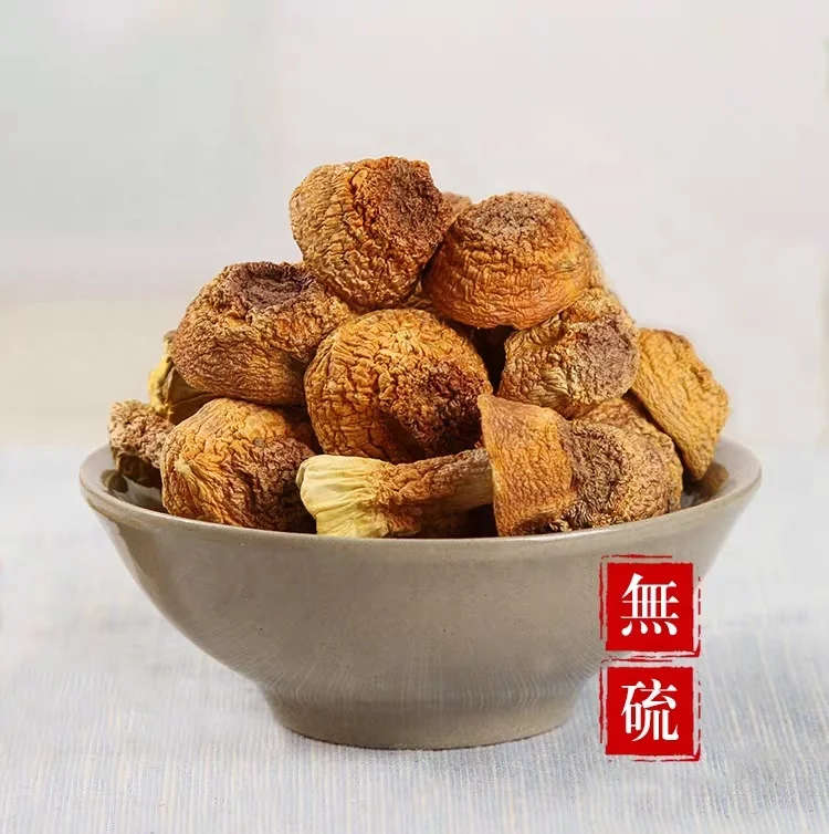 
Fresh Dried Agaricus Subrufescens Blazei Murill Mushroom 