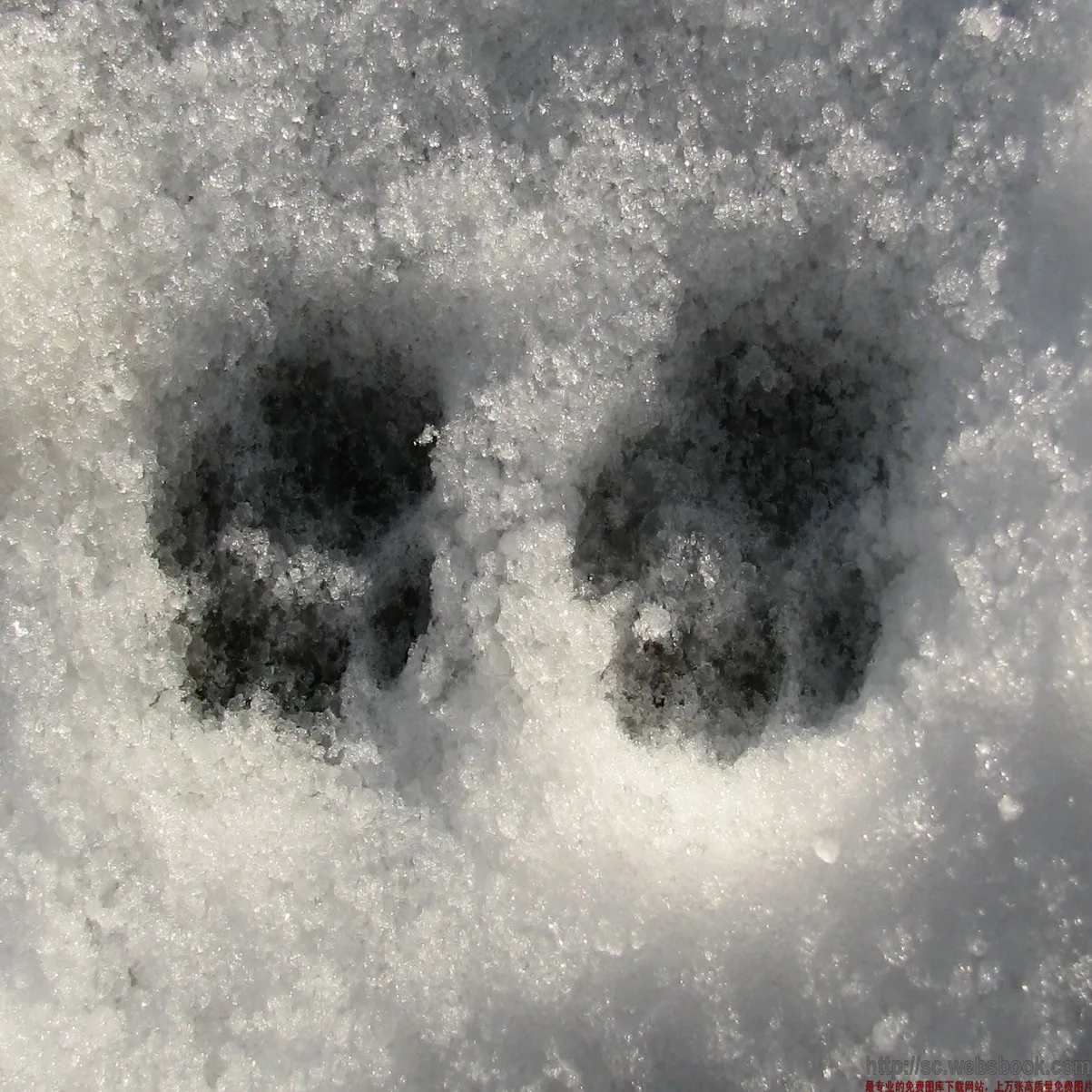 Christmas Decoration Artificial Instant Snow Powder