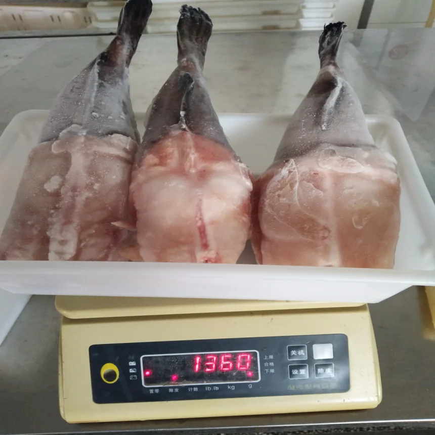 Надлежащая цена замороженная рыба здоровая еда морепродукты