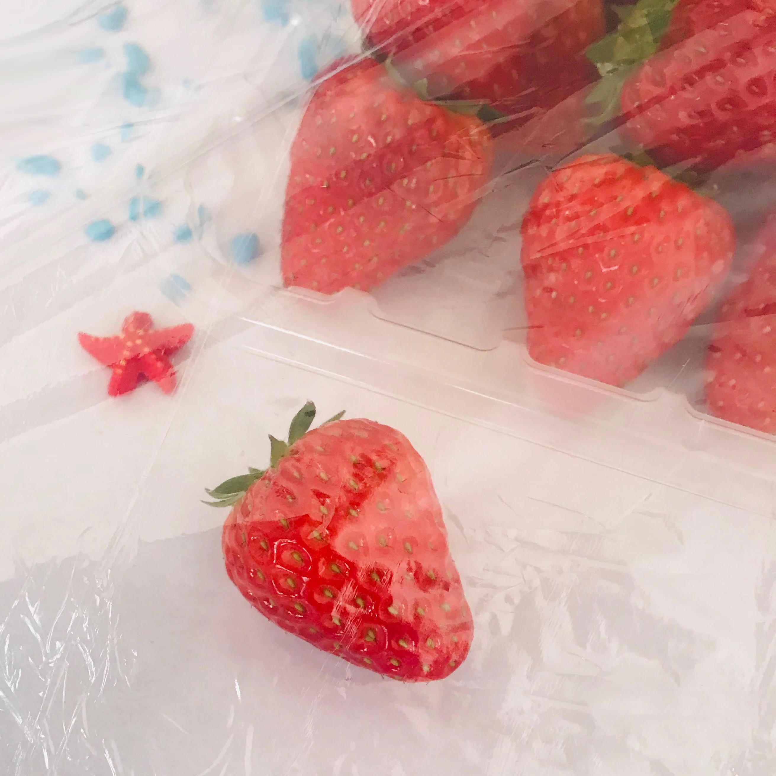 New product barrier and moisture proof 100% compostable biobase PLA cling wrap or film biodegradable for food