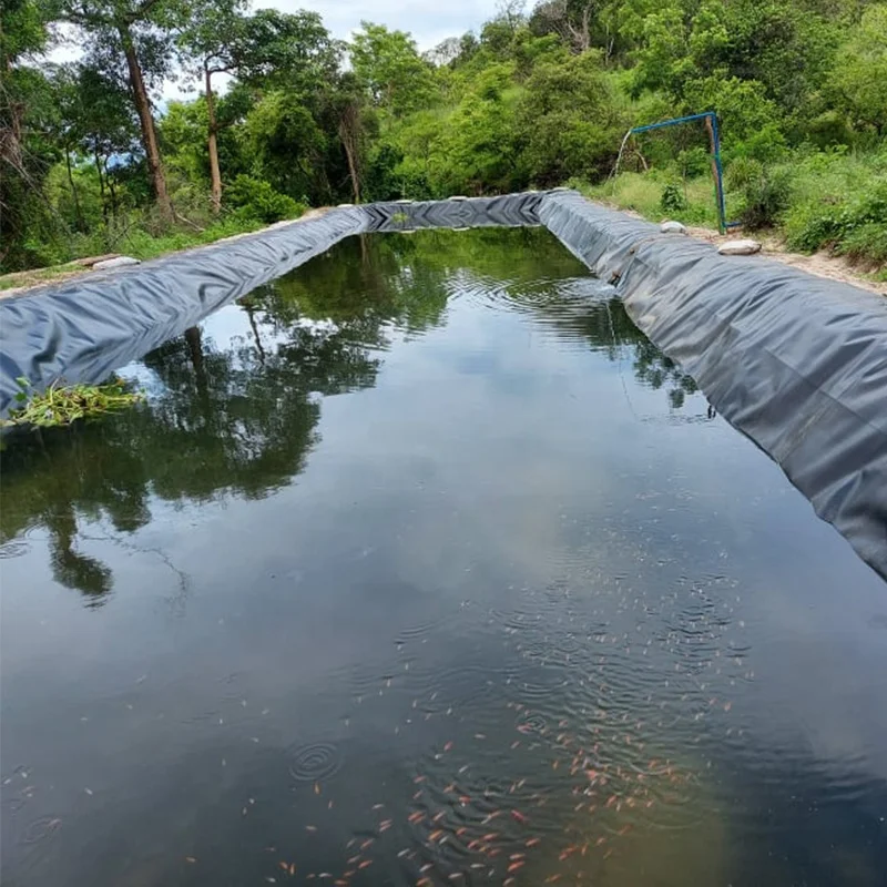 UV Resistant Geomembranes HDPE 1mm 2mm Geomembrane Liner Dam Composite Shandong Geomembrane For Aquaculture