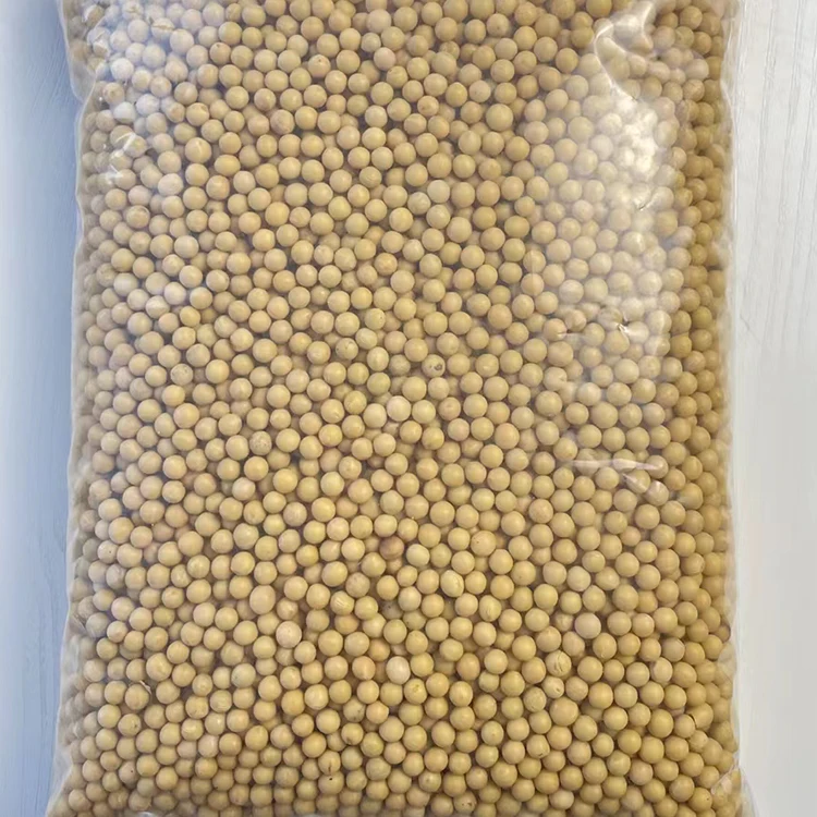 Wholesale Price Factory Supply Yellow Soya Bean Common Yellow Mung Bean