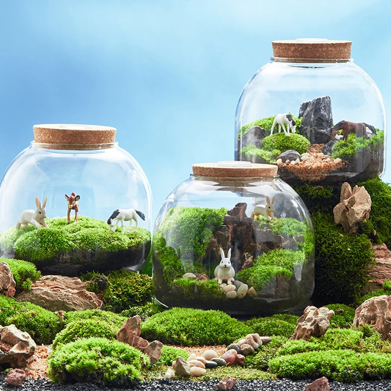 Wholesale Home Accessories Round Glass Plant Terrarium Containers With Cork Lid