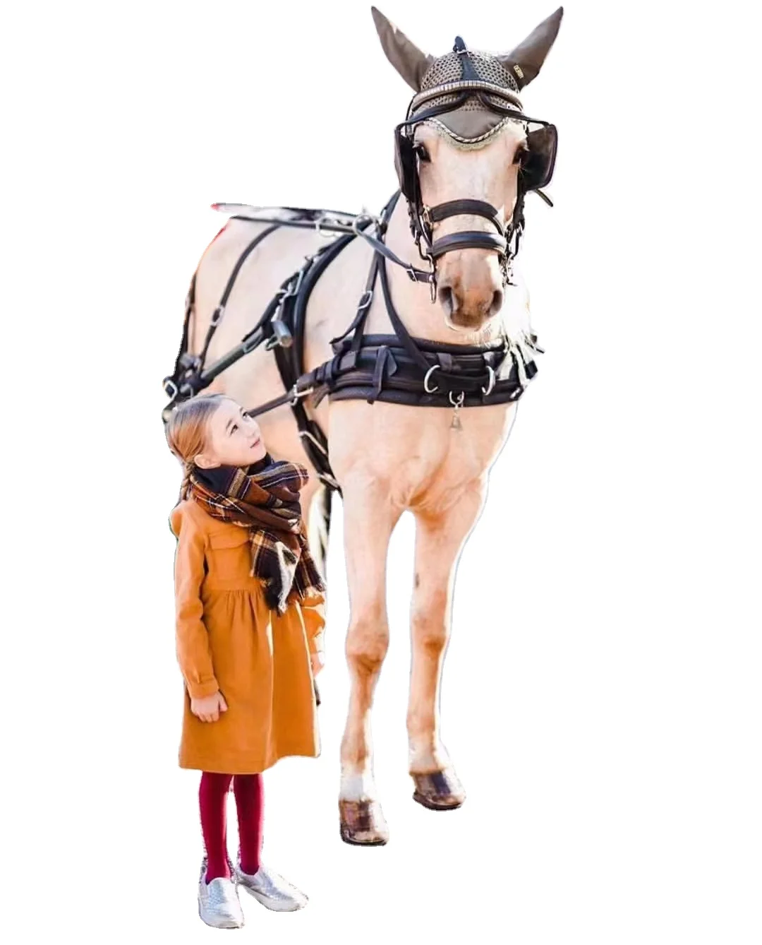 Driving Horse  Harness  SET PVC Equestrian  Horse Racing &Riding Carriage