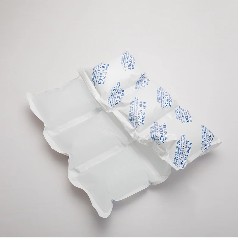BSG 390*290mm 9pcs in one  Frozen Food Fresh Keep Dry Ice Pack One Piece 24 Cells Ice Cube Bags