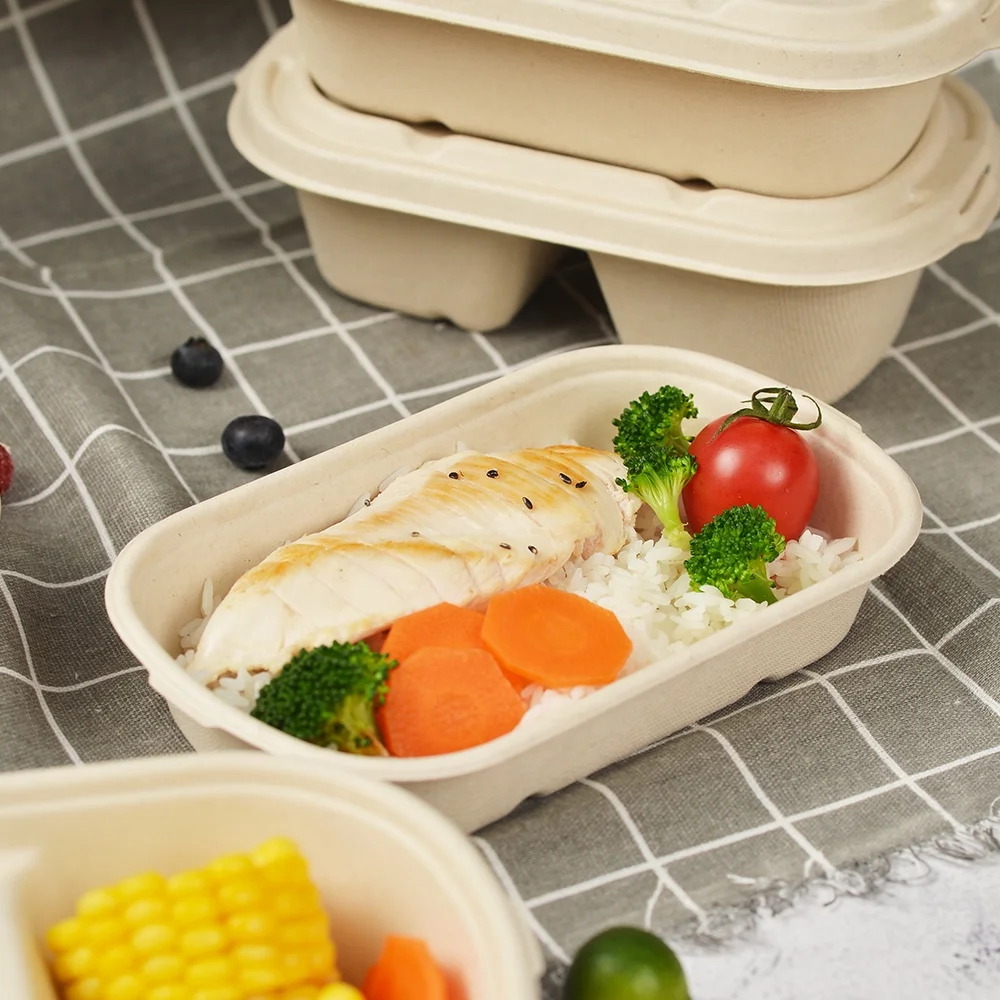 Compostable Tableware Disposable Envase Biodegradable Dinnerware Sugarcane Sugar Cane Bagasse Clamshell Food Container