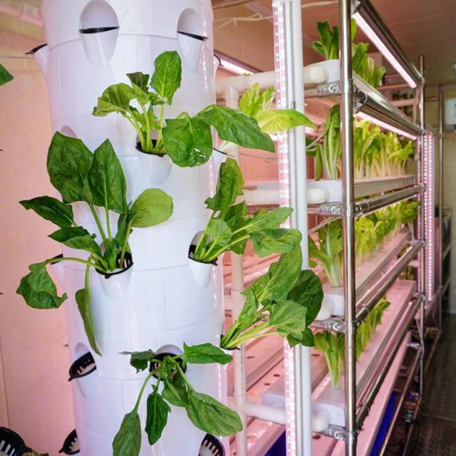 6x7 Hydroponic Vertical Grow Plant Tower Garden Soil-less Planting System For Vegetables and Herbs Indoor and Outdoor