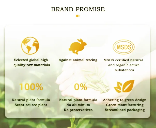 BULK Natural Plant Essential Oils (new) Manufacturer, Wholesale Organic Rice Bran Oil 100% Pure for Body Massage | Cheap Price