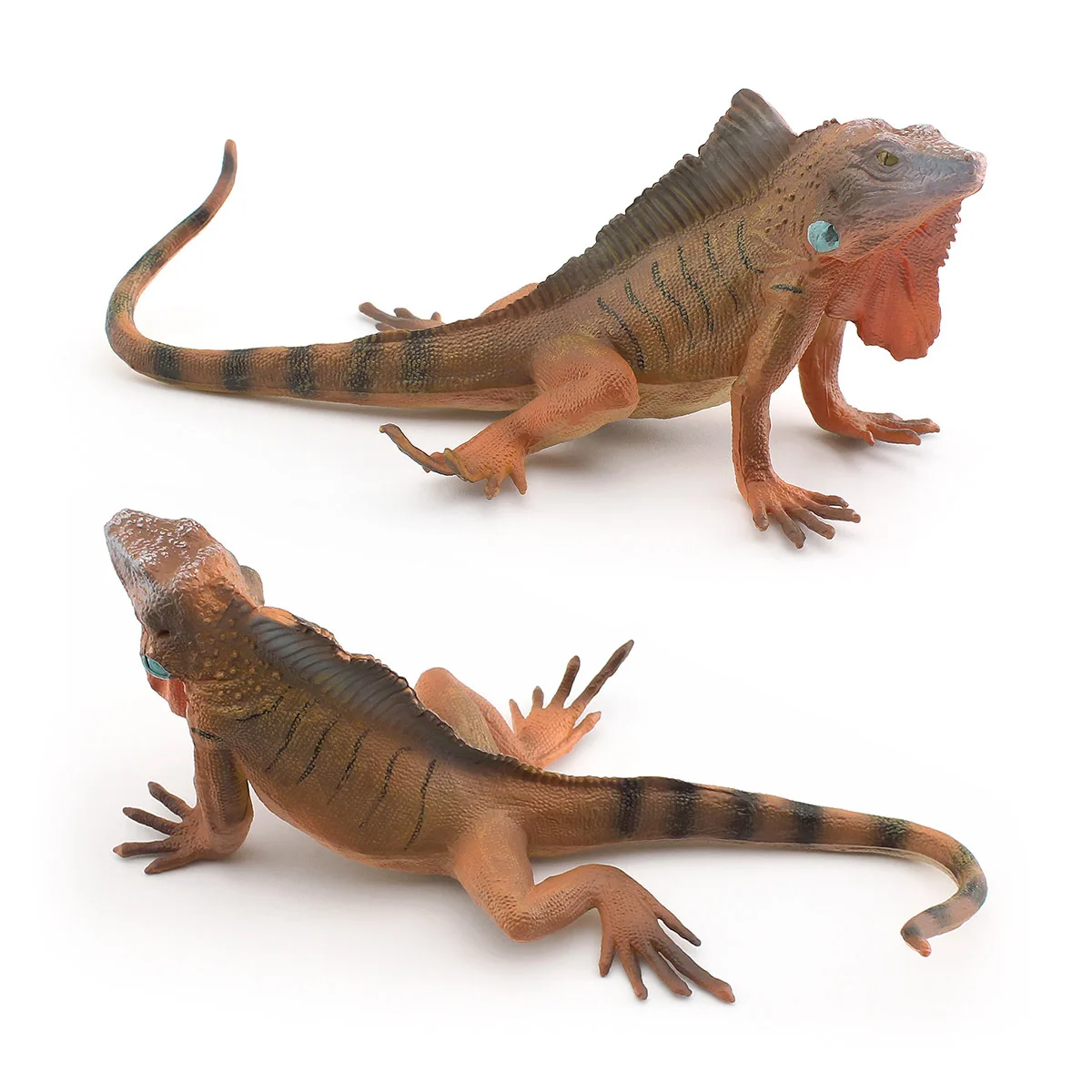 - simulation of wild reptile lizard model children cognitive American iguana decorative toys