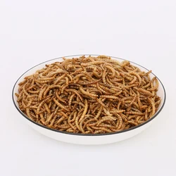 2021 direct high-protein insect bait pet edible dried mealworm