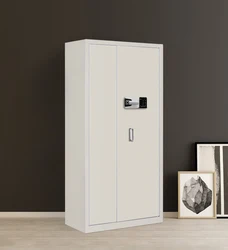 Cool rolled steel secure safety storage document file cabinet