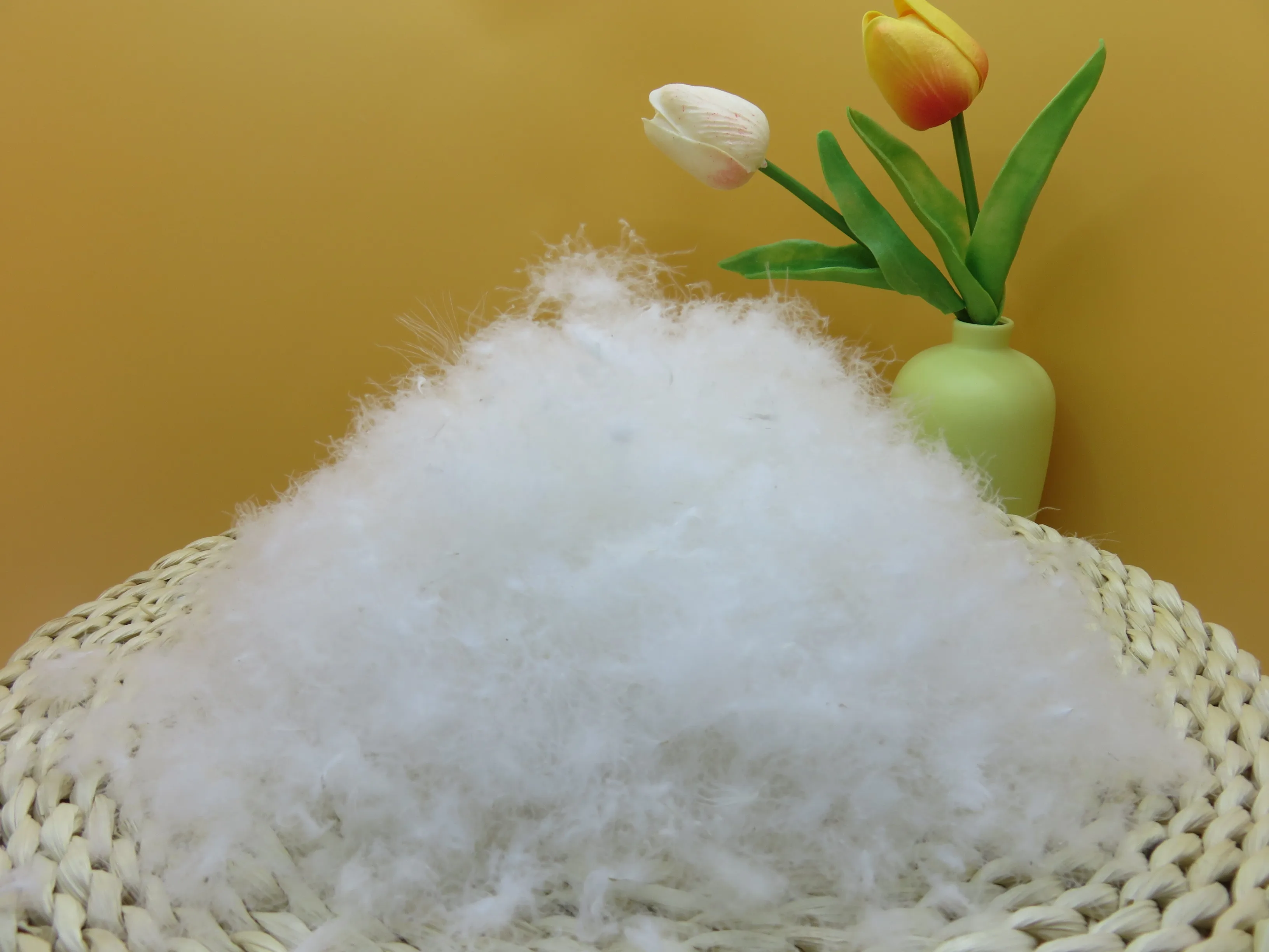 80% White Goose down Feather Product