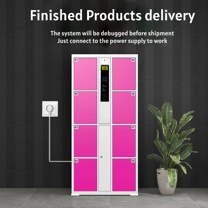 Public Suitcase Electronic System 8 door smart electronic locker with English system storage cabinet